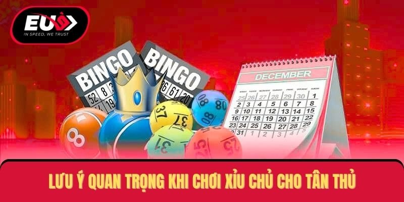 Lưu ý quan trọng khi chơi xỉu chủ cho tân thủ