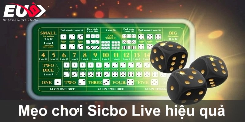 Chia sẻ bí kíp chơi Sicbo Live hiệu quả