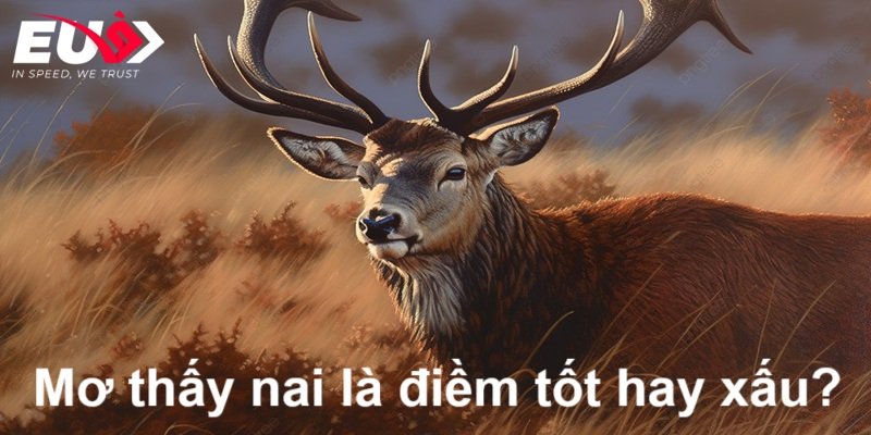 Ngủ thấy con nai là điềm báo tốt hay xấu?